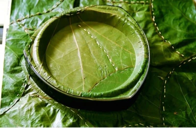 Bát Lá Cây Thân Thiện Môi Trường